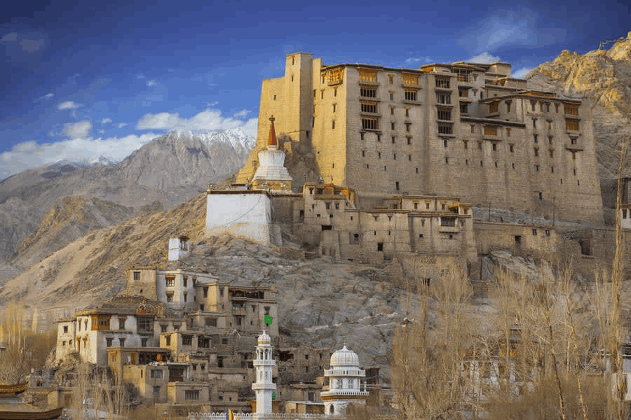 Ladakh Leh Palace