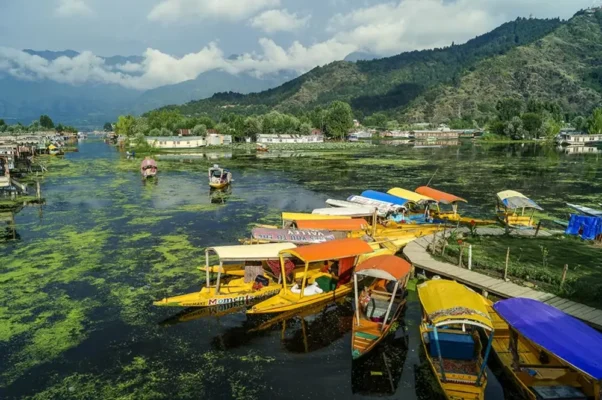 dal lake- india