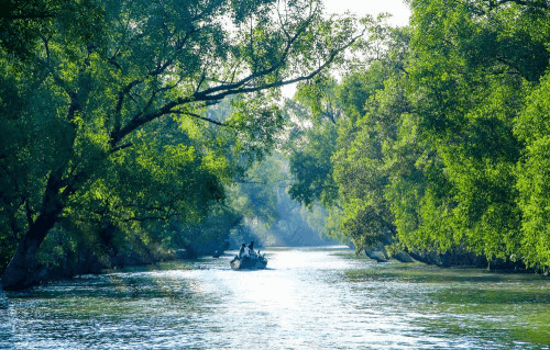 Sunderbans - Indian Culture